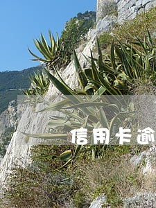 信用卡逾期还款后能取现吗 信用卡逾期还款后能取现吗