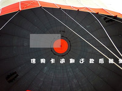 信用卡逾期还款后能坐高铁吗