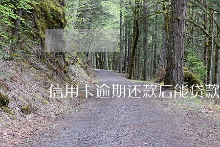 信用卡逾期还款后能贷款吗 信用卡逾期还款后能贷款吗