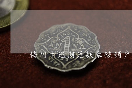 信用卡逾期还款后被销户了 信用卡逾期还款后被销户了