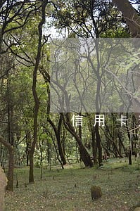 信用卡逾期还款后被限制 信用卡逾期还款后被限制