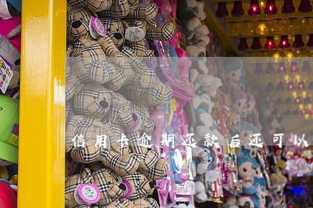 信用卡逾期还款后还可以使用吗 信用卡逾期还款后还可以使用吗