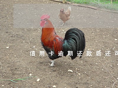 信用卡逾期还款后还可以分期吗 信用卡逾期还款后还可以分期吗