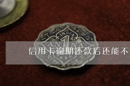 信用卡逾期还款后还能不能信用卡