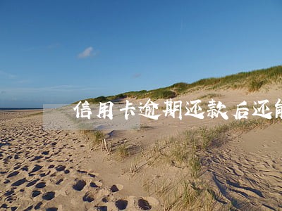 信用卡逾期还款后还能再使用吗