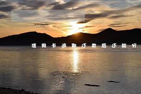 信用卡逾期还款后还能分期吗