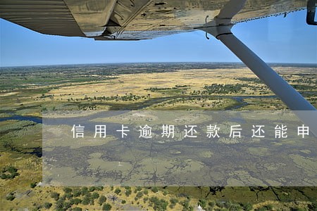 信用卡逾期还款后还能申请吗