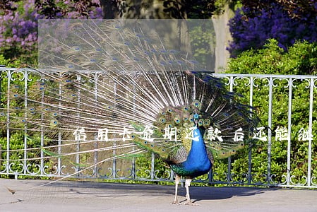信用卡逾期还款后还能继续刷吗 信用卡逾期还款后还能继续刷吗