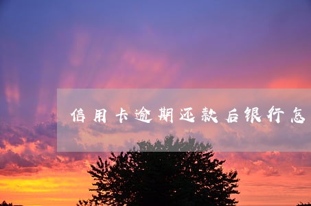 信用卡逾期还款后银行怎么收费