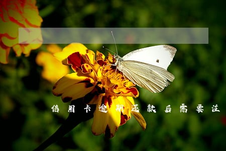 信用卡逾期还款后需要注销 信用卡逾期还款后需要注销