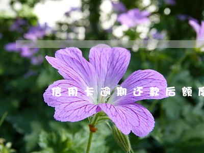 信用卡逾期还款后额度0