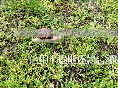 信用卡逾期还款后额度为0