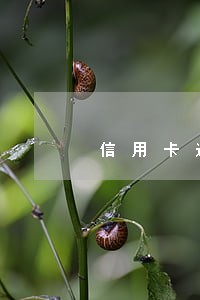 信用卡逾期还款后额度能恢复