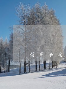 信用卡逾期还款和滞纳金