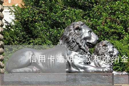 信用卡逾期还款和滞纳金怎么算 信用卡逾期还款和滞纳金怎么算