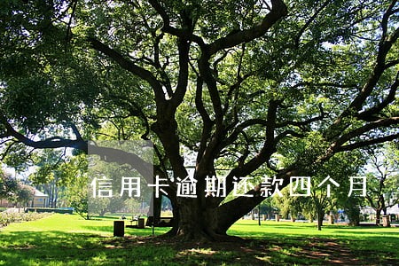 信用卡逾期还款四个月 信用卡逾期还款四个月