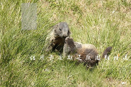 信用卡逾期还款困难情况说明 信用卡逾期还款困难情况说明