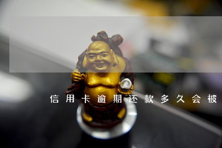 信用卡逾期还款多久会被上诉 信用卡逾期还款多久会被上诉
