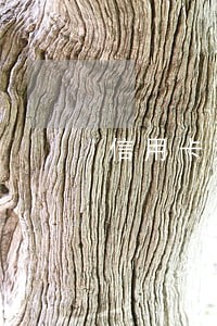 信用卡逾期还款多久后可以提额
