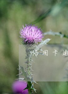 信用卡逾期还款多久后被起诉 信用卡逾期还款多久后被起诉