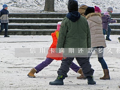 信用卡逾期还款多久恢复额度 信用卡逾期还款多久恢复额度