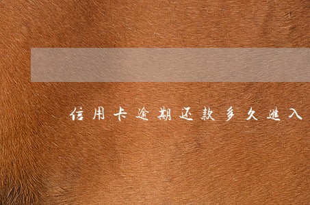 信用卡逾期还款多久进入征信 信用卡逾期还款多久进入征信