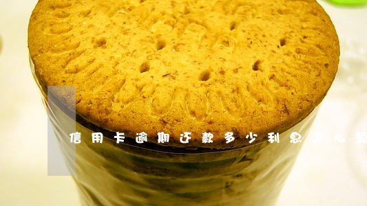 信用卡逾期还款多少利息怎么算 信用卡逾期还款多少利息怎么算