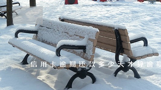 信用卡逾期还款多少天才算逾期 信用卡逾期还款多少天才算逾期