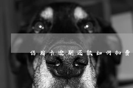 信用卡逾期还款如何扣费 信用卡逾期还款如何扣费