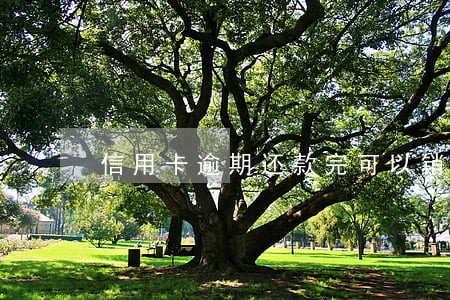 信用卡逾期还款完可以销户么