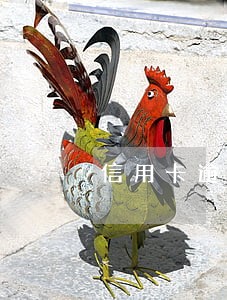 信用卡逾期还款完多久能用 信用卡逾期还款完多久能用