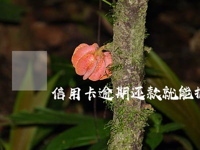 信用卡逾期还款就能撤案吗 信用卡逾期还款就能撤案吗