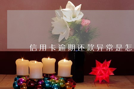 信用卡逾期还款异常是怎么回事 信用卡逾期还款异常是怎么回事
