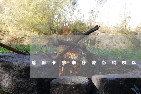 信用卡逾期还款当时可以取钱吗