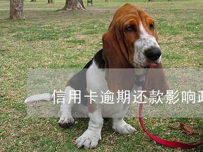 信用卡逾期还款影响政审 信用卡逾期还款影响政审