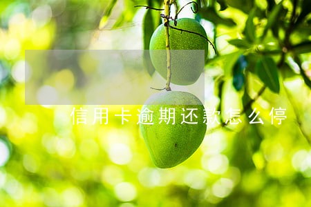 信用卡逾期还款怎么停