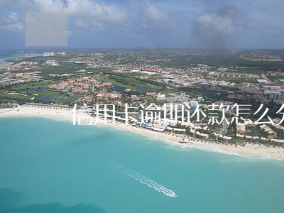 信用卡逾期还款怎么分期 信用卡逾期还款怎么分期