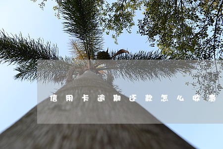 信用卡逾期还款怎么收费