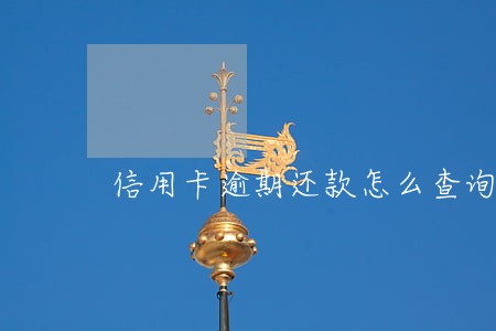 信用卡逾期还款怎么查询 信用卡逾期还款怎么查询