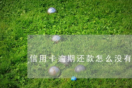 信用卡逾期还款怎么没有利息 信用卡逾期还款怎么没有利息