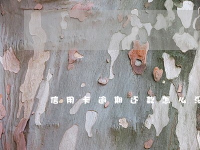 信用卡逾期还款怎么没额度啊 信用卡逾期还款怎么没额度啊