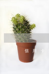 信用卡逾期还款怎么消除不良信息 信用卡逾期还款怎么消除不良信息