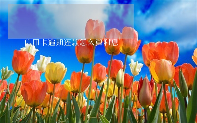 信用卡逾期还款怎么算利息 信用卡逾期还款怎么算利息