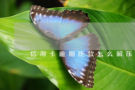 信用卡逾期还款怎么解压