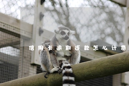 信用卡逾期还款怎么计费 信用卡逾期还款怎么计费