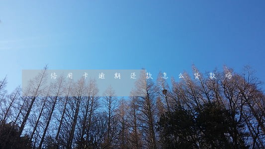 信用卡逾期还款怎么贷款吗 信用卡逾期还款怎么贷款吗