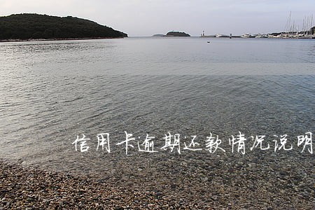 信用卡逾期还款情况说明怎么写