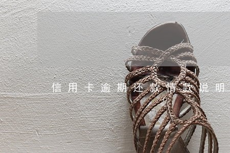 信用卡逾期还款情款说明 信用卡逾期还款情款说明