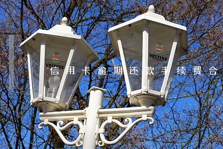 信用卡逾期还款手续费合法吗