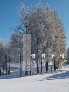 信用卡逾期还款打什么电话 信用卡逾期还款打什么电话